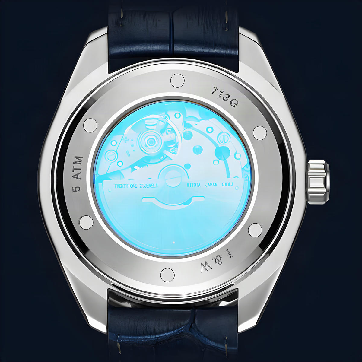 IW713G caseback